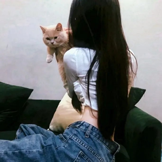 甜甜圈之王