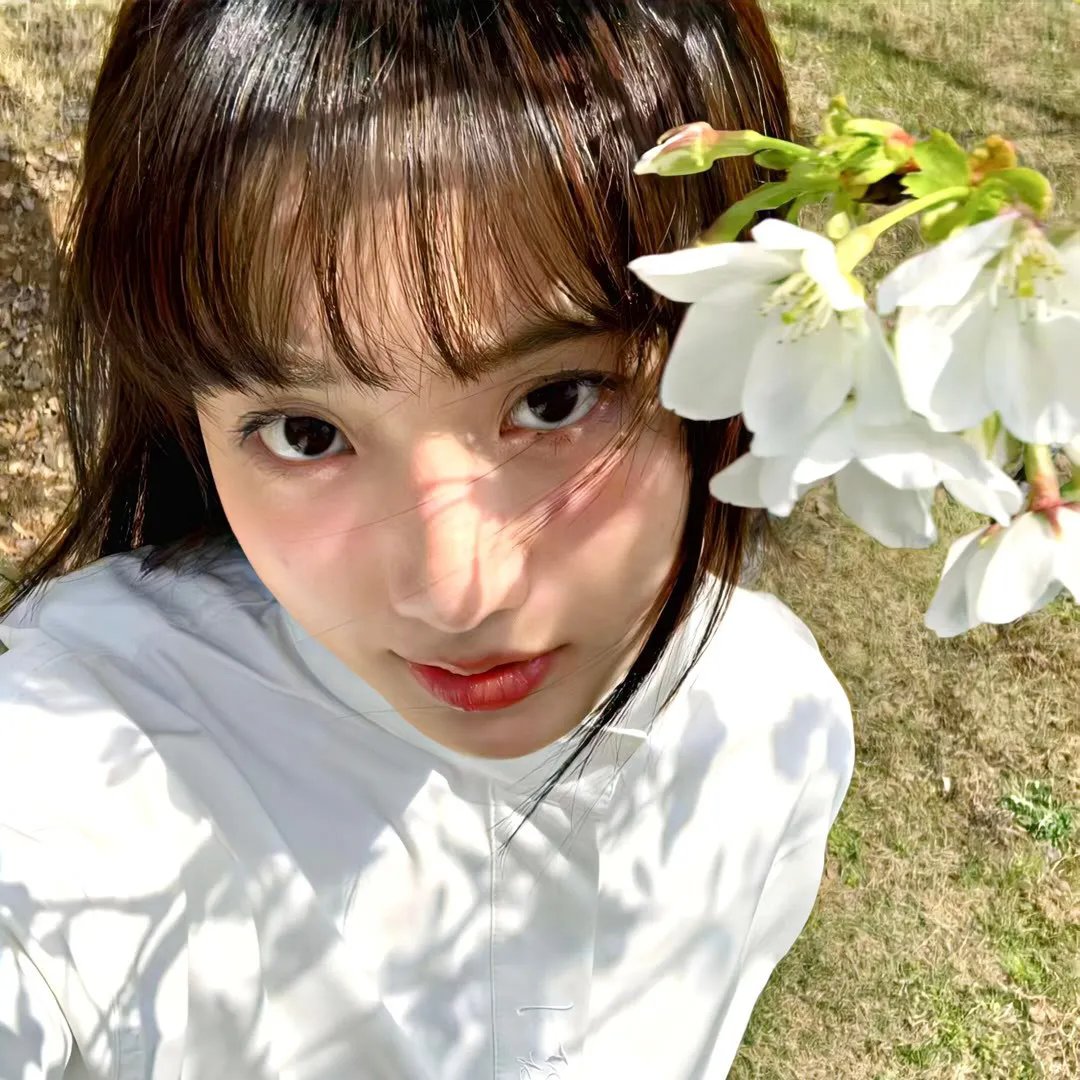 阿莉茜娅公主
